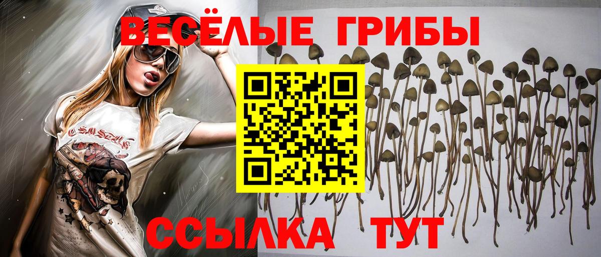 Псилоцибиновые грибы ЛСД  Вход с VPN  Псилоцибиновые грибы мицелий  Урюпинск 